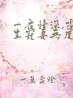 一夜情深,霍先生宠妻无度 小说完整