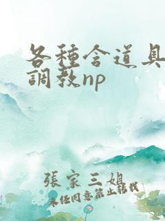 各种含道具高h调教np