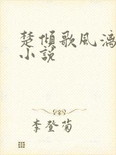 楚倾歌风漓夜的小说