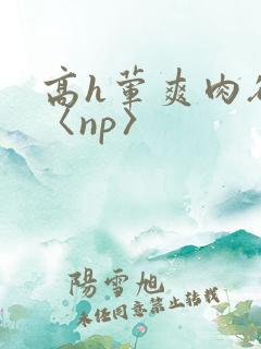 高h荤爽肉欲文〈np〉