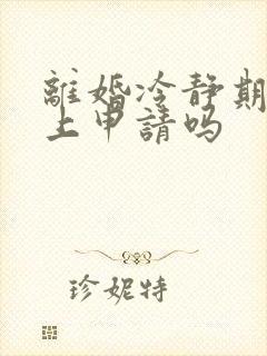 离婚冷静期能网上申请吗