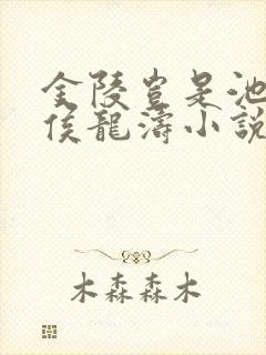 金陵岂是池中物侯龙涛小说