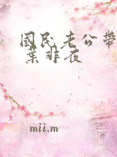 国民老公带回家 叶非夜