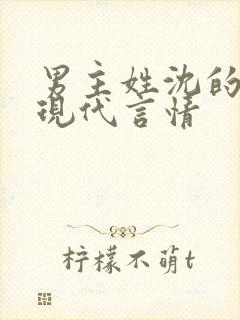 男主姓沈的小说现代言情