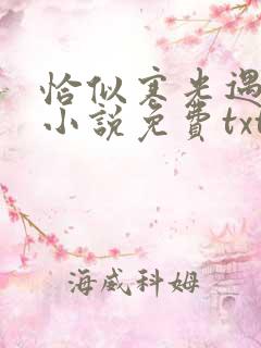 恰似寒光遇骄阳小说免费txt下载