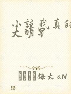 小说 我真的是大明星