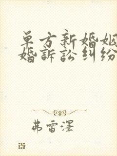 单方新婚姻法离婚诉讼纠纷