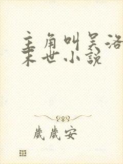 主角叫吴洛枫的末世小说