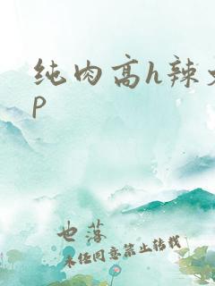 纯肉高h辣文np