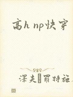 高h np快穿