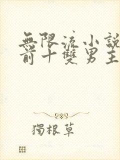 无限流小说排名前十双男主