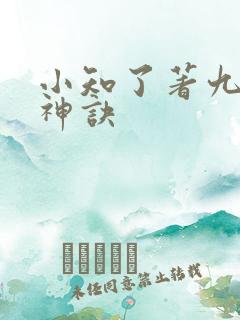 小知了著九天斩神诀