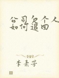 公司欠个人欠款如何追回