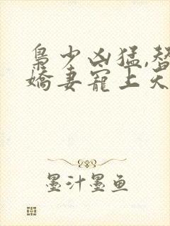 枭少凶猛,替嫁娇妻宠上天