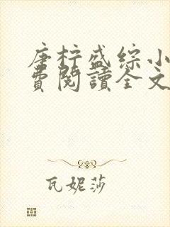 唐柠盛综小说免费阅读全文最新章节