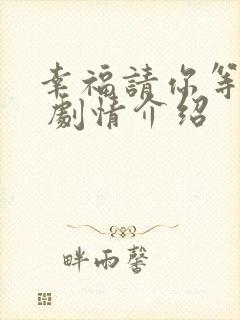 幸福请你等等我 剧情介绍