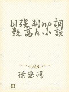 bl强制np调教高h小说