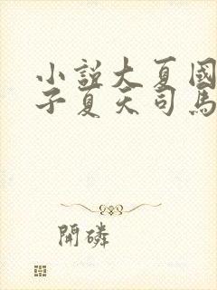 小说大夏国九皇子夏天司马兰