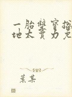 一胎双宝总裁爹地太卖力免费阅读