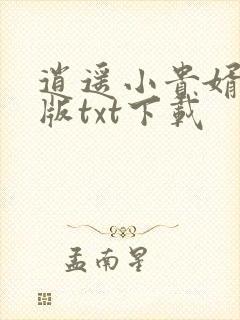 逍遥小贵婿精校版txt下载