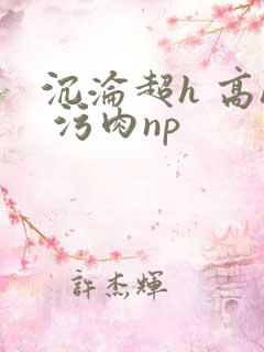 沉沦超h 高h 污肉np