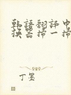 韩语翻译中文转换器扫一扫