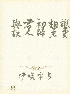 与君初相识恰似故人归免费在线观看