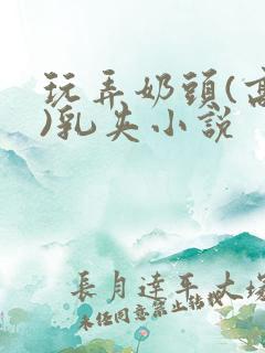 玩弄奶头(高h)乳夹小说