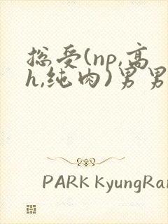总受(np,高h,纯肉)男男