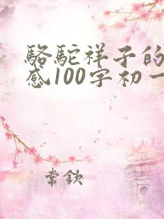 骆驼祥子的读后感100字初一