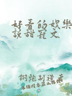 好看的娱乐圈小说甜宠文