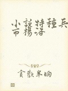 小说特种兵在都市杨洛