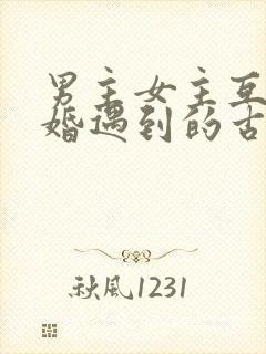 男主女主互相逃婚遇到的古言