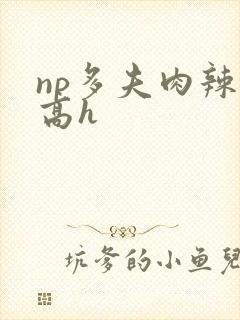 np多夫肉辣文高h