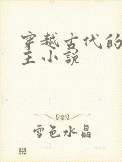 穿越古代的双男主小说