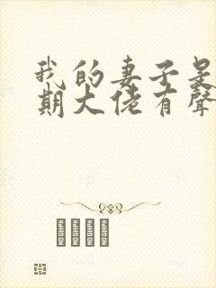 我的妻子是大乘期大佬有声小说免费收听