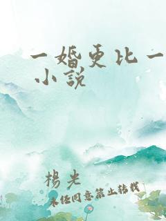 一婚更比一婚高 小说