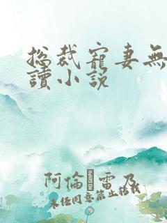 总裁宠妻无度阅读小说