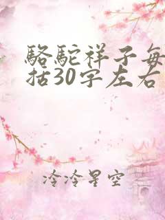 骆驼祥子每章概括30字左右