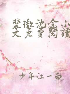 裴彻沈念小说全文免费阅读