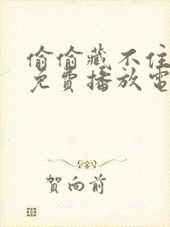 偷偷藏不住全集免费播放电视剧