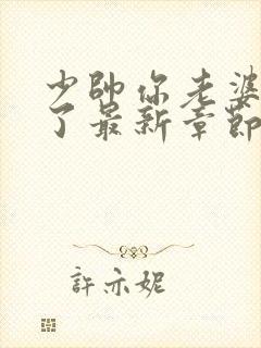 少帅你老婆又跑了最新章节目录