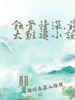 蚀骨情深,前妻太难追小说最新