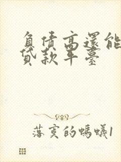 负债高还能借的贷款平台