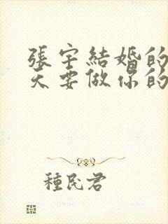 张宇结婚的歌今天要做你的新郎