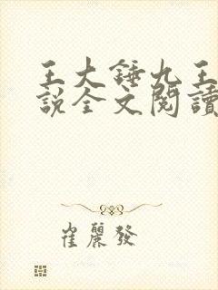 王大锤九王爷小说全文阅读