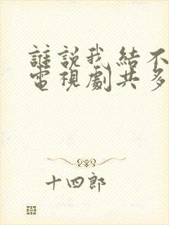 谁说我结不了婚电视剧共多少集