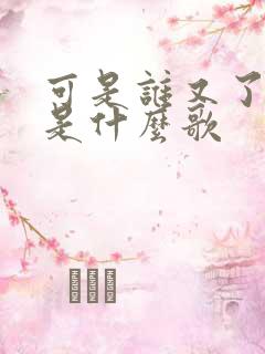 可是谁又了解我是什么歌