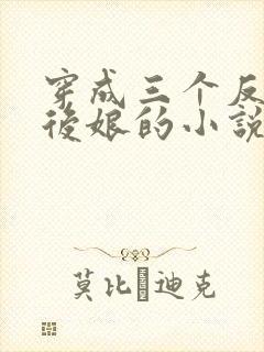 穿成三个反派的后娘的小说