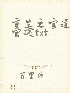 重生之官道唐逸官途txt